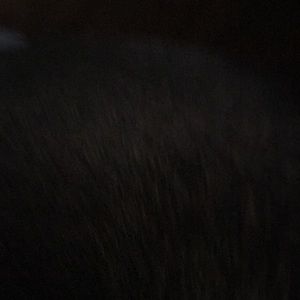 Meet your Posher, Katelyn